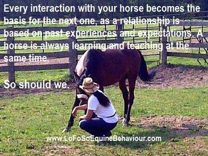 Horse Behavior, Horsemanship, Horse Facts, Horse Tips, Horse Training, Horse Welfare, Horse Information, Horse Care